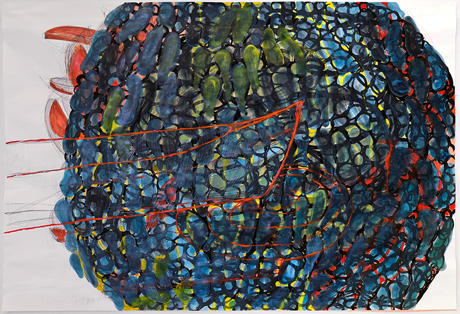 Florian Mehnert, Boat Pectinella Magnifica