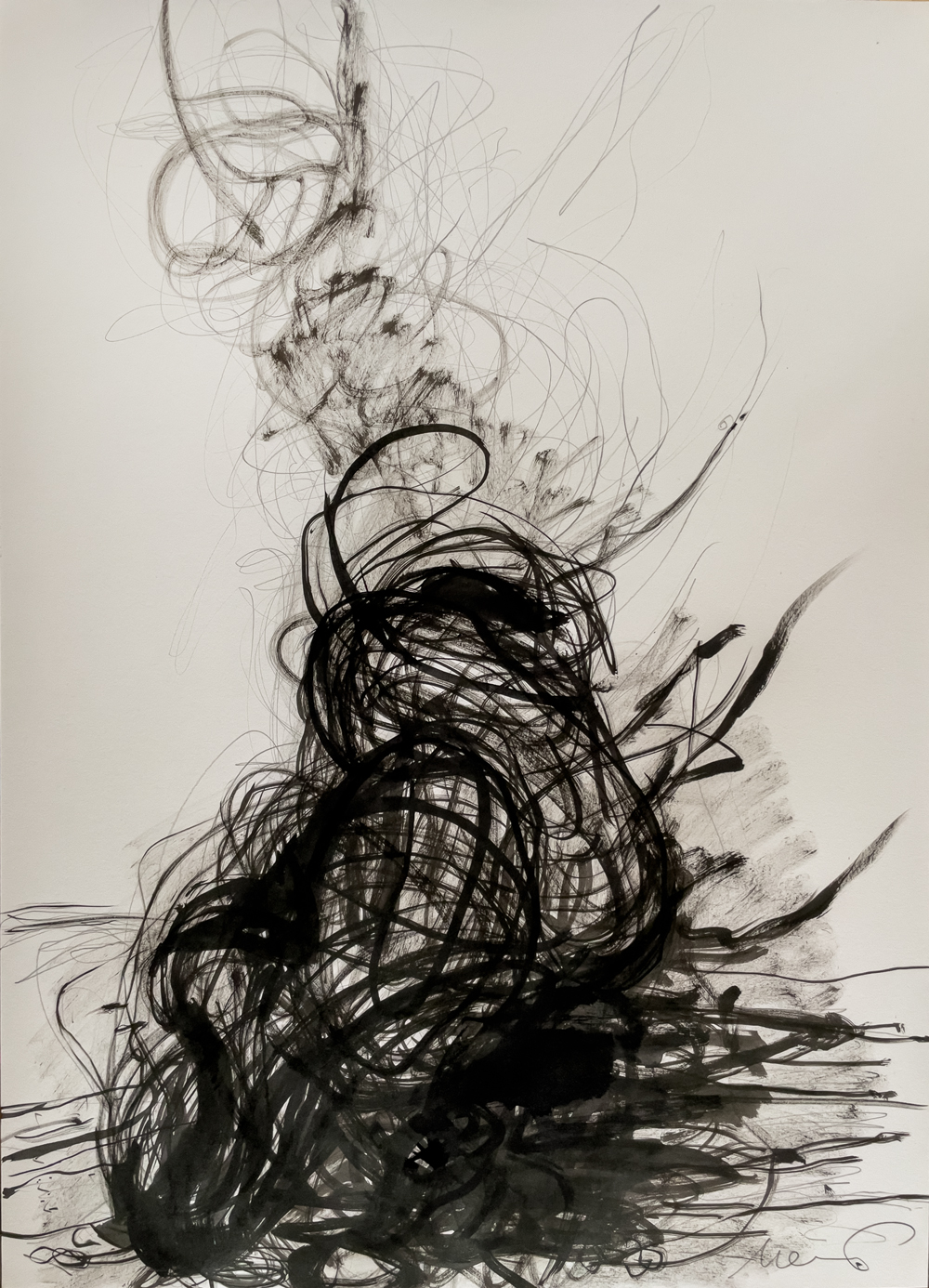 Florian Mehnert, Reflection about Roots, 2026, Tusche und Graphit auf Papier