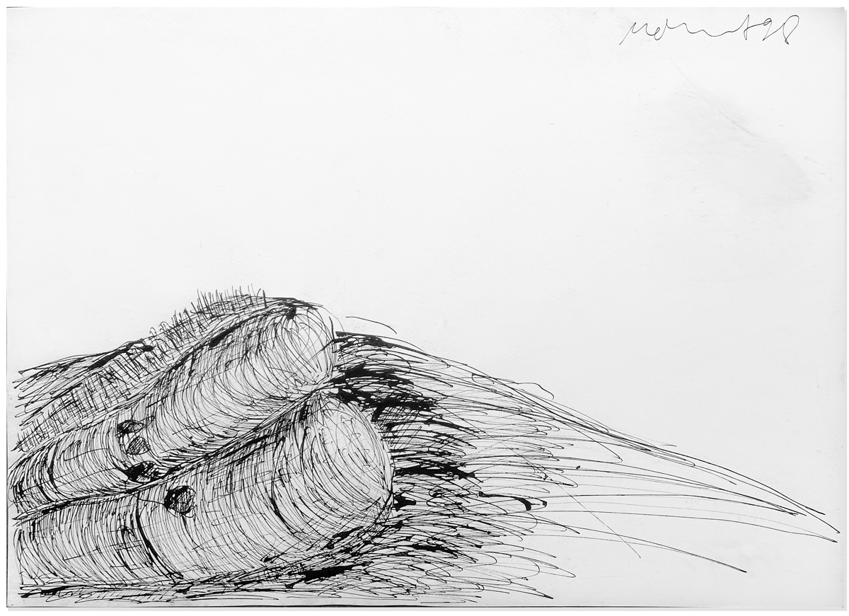 Florian Mehnert, Dragonfly Ink Drawings, 1997-2005