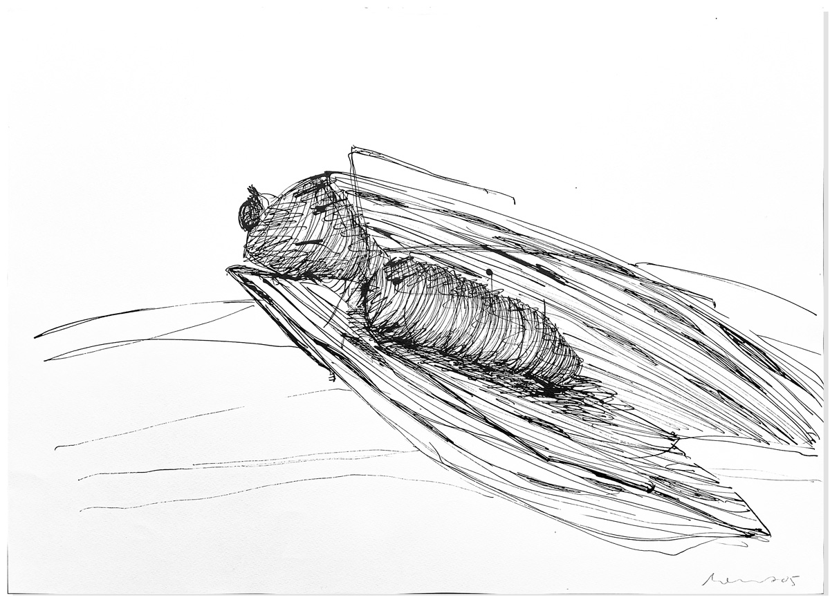 Florian Mehnert, Dragonfly Ink Drawings, 1997-2005