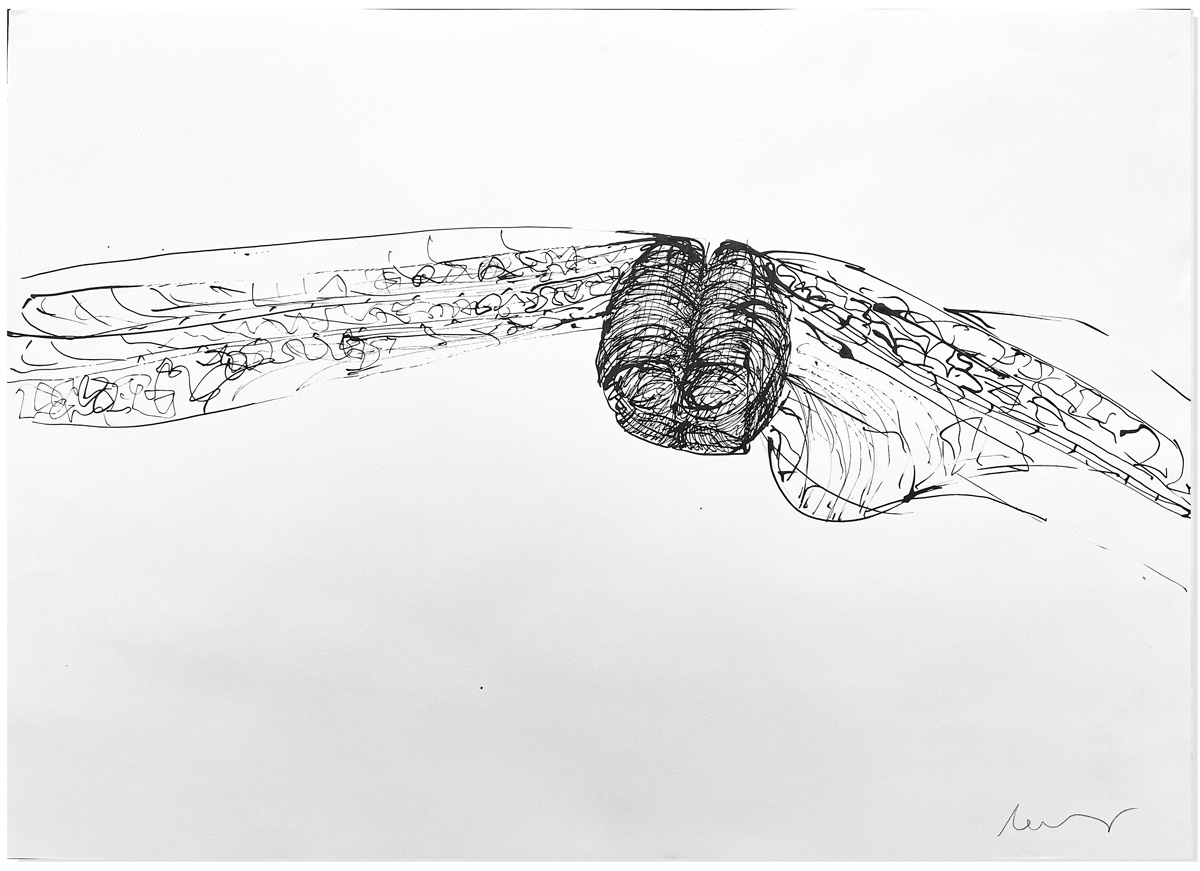 Florian Mehnert, Dragonfly Ink Drawings, 1997-2005