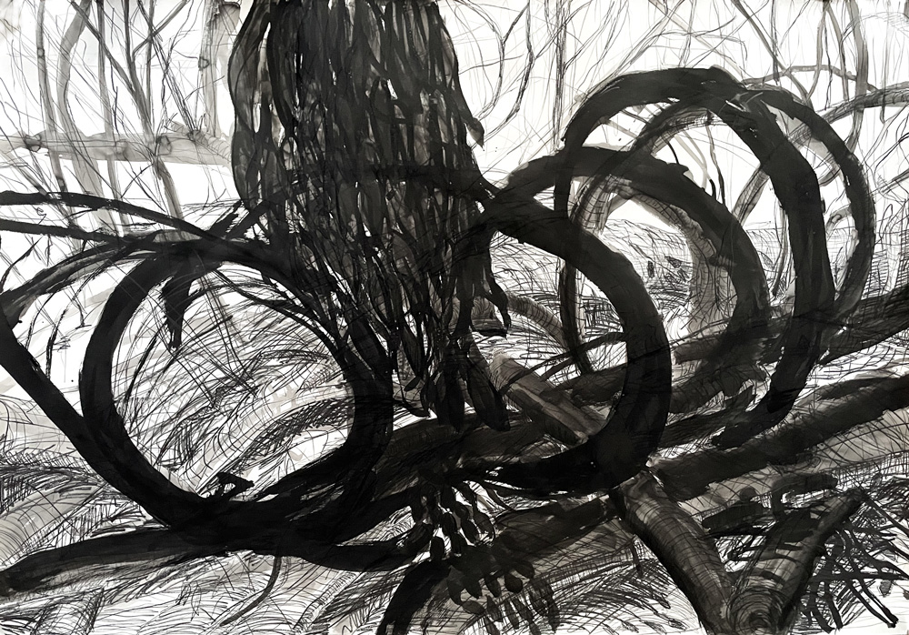 Large Drawings