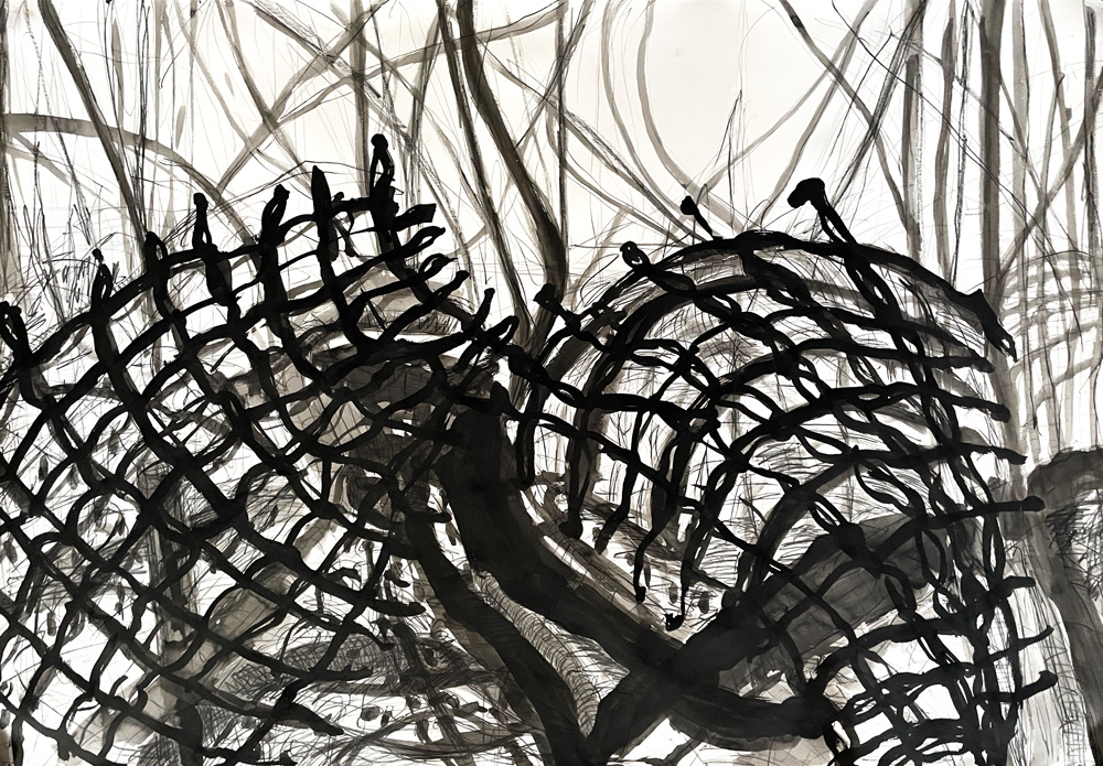 Large Drawings
