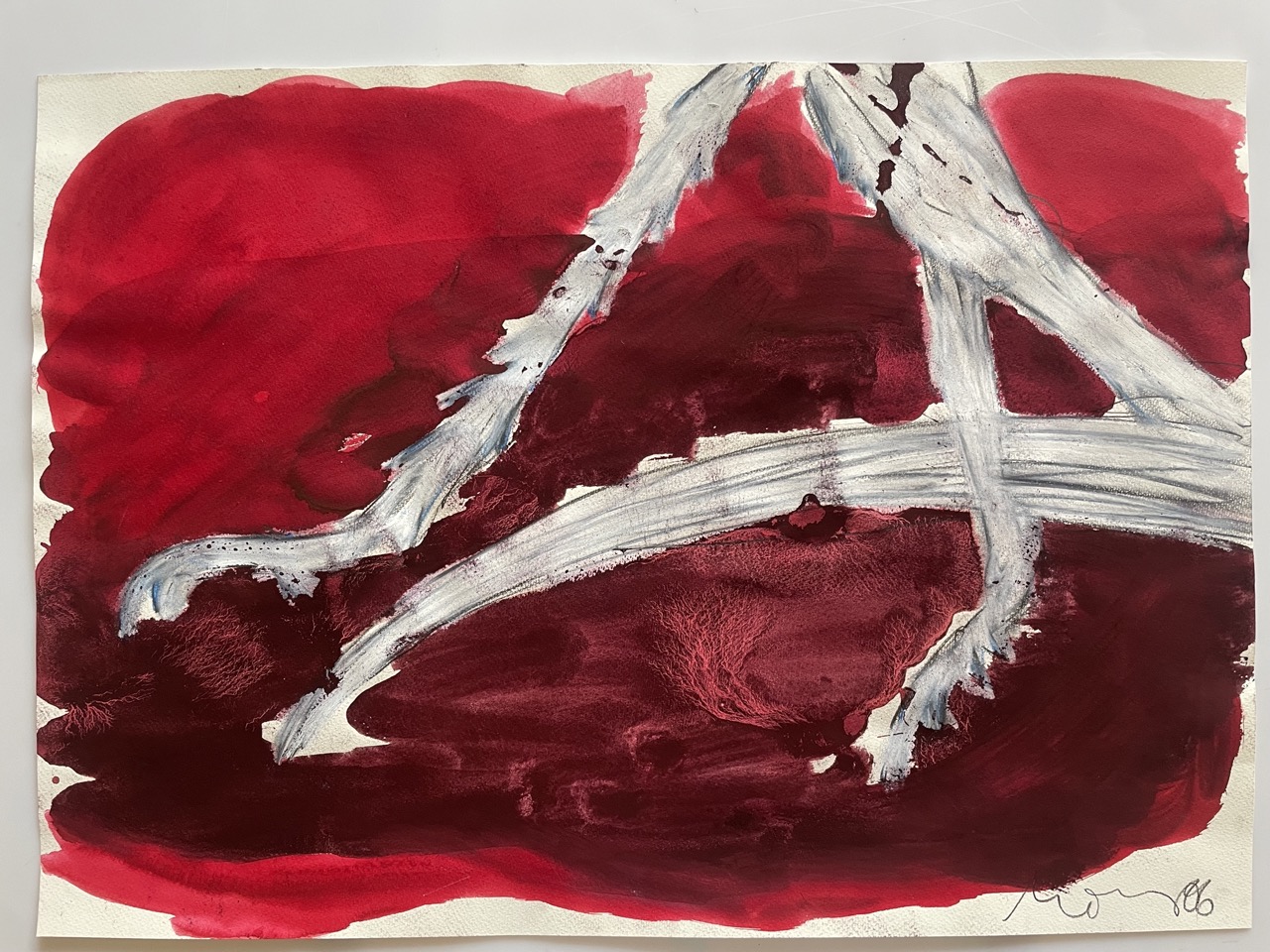 Grasshopper on Red, 2006, graphite, oil crayon and stain on paper