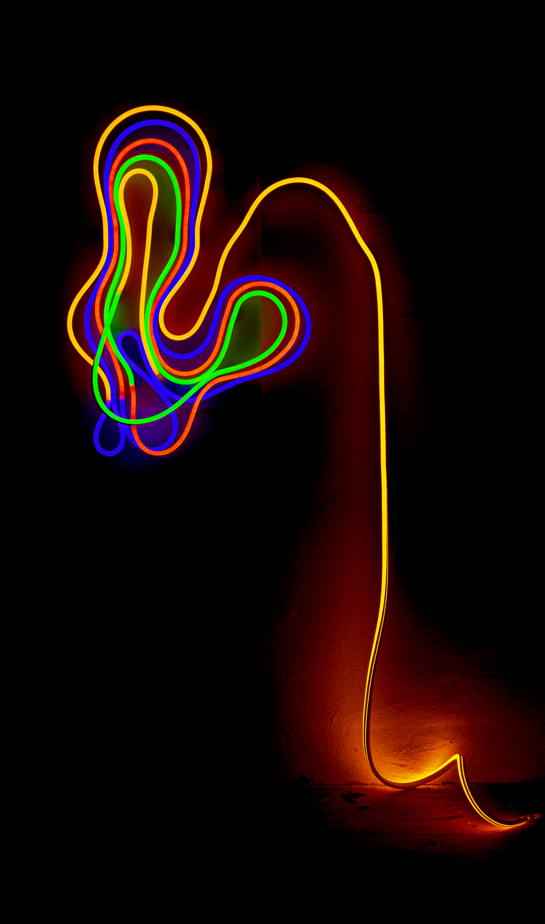 Data to Light