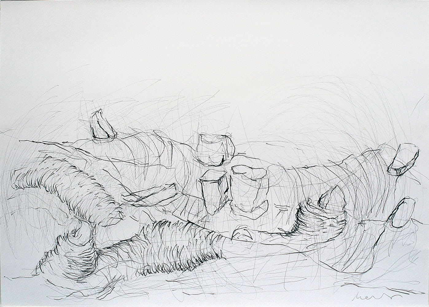 Florian Mehnert, Sus Scrofa